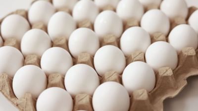 વૈજ્ઞાનિક દ્રષ્ટિકોણથી ઈંડું એક પ્રજનન ઉત્પાદન છે, જે આપણને મરઘીમાંથી મળે છે.