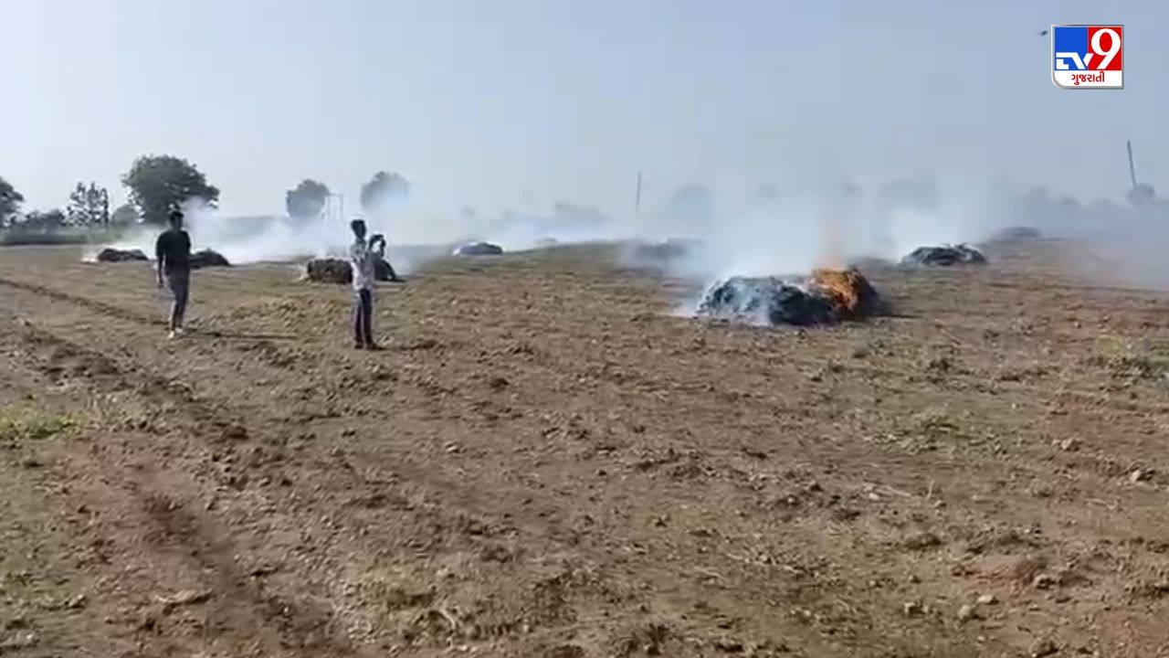 Amreli : જાફરાબાદના ખેડૂતોની કફોડી હાલત, પાક નિષ્ફળ જતા સંપૂર્ણ દેવુ માફ કરવાની માગ, જુઓ Video