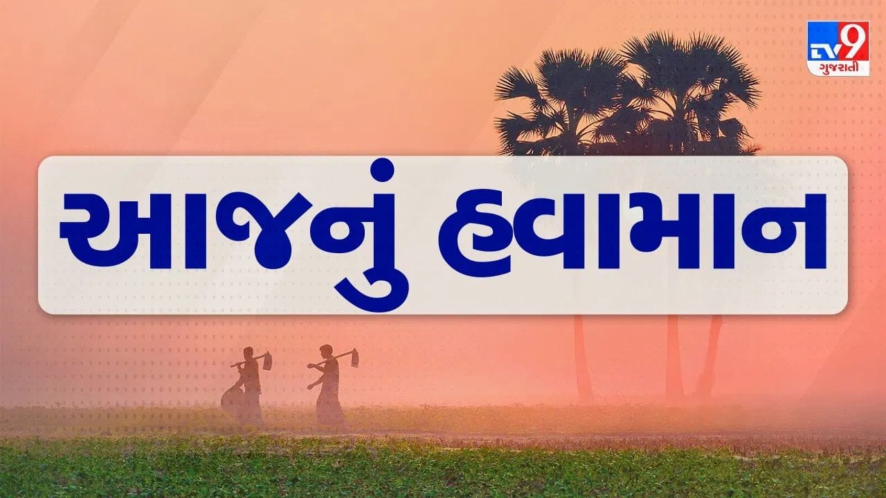 આજનું હવામાન : સ્વેટર કાઢીને તૈયાર રાખજો, અનેક વિસ્તારોમાં કડકડતી ઠંડીની આગાહી, જુઓ Video આજનું હવામાન : સ્વેટર કાઢીને તૈયાર રાખજો, અનેક વિસ્તારોમાં કડકડતી ઠંડીની આગાહી, જુઓ Video