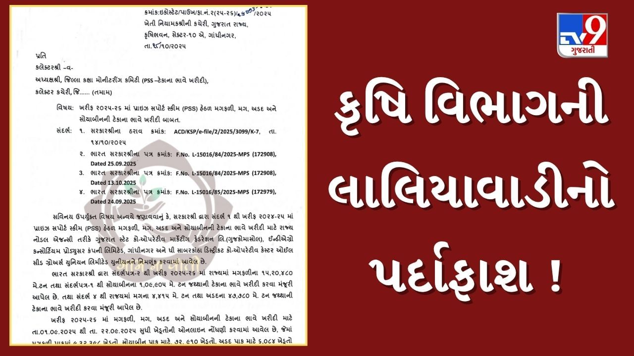 આજથી નહીં થાય ટેકાના ભાવે ખરીદી ! કૃષિ વિભાગની લાલિયાવાડીનો ગુજકોમાસોલના ચેરમેને કર્યો પર્દાફાશ, જુઓ Video