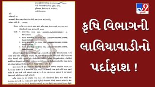 આજથી નહીં થાય ટેકાના ભાવે ખરીદી ! કૃષિ વિભાગની લાલિયાવાડીનો ગુજકોમાસોલના ચેરમેને કર્યો પર્દાફાશ, જુઓ Video