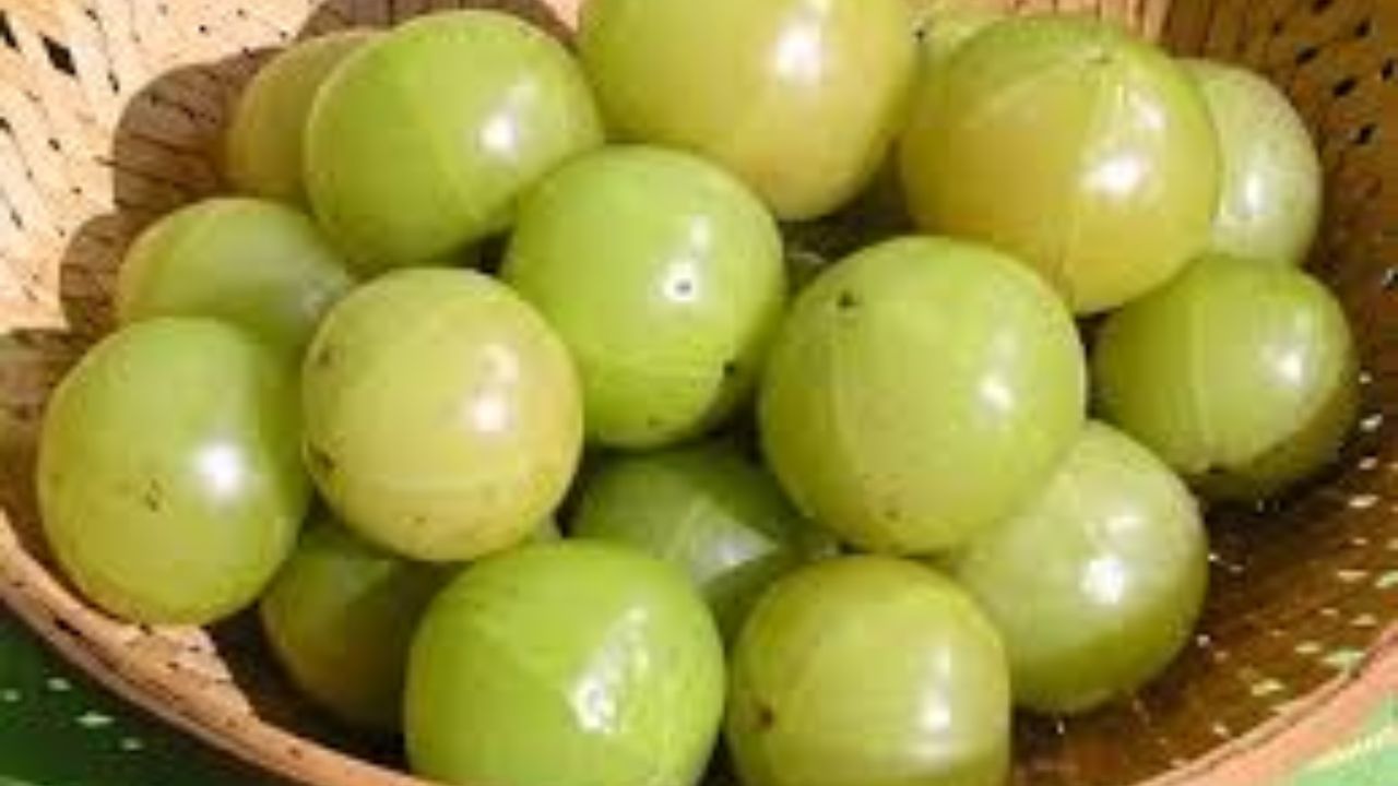 આમળા ખૂબ ફાયદાકારક છે, પરંતુ દરેક માટે નહીં. જો તમને ઉપર જણાવેલ કોઈપણ સ્થિતિ હોય, તો ધીમે ધીમે આમળાનો ઉપયોગ કરો અથવા ડૉક્ટરની સલાહ લો. દરેક નવા સ્વાસ્થ્ય વલણને અનુસરવું જરૂરી નથી. સૌથી મહત્વની બાબત એ છે કે તે તમારા શરીર માટે યોગ્ય છે કે નહીં તે જોવું.