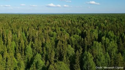 રશિયામાં વિશ્વનું સૌથી મોટું વન આવરણ છે. 832.6 મિલિયન હેક્ટર વિસ્તાર ધરાવે છે, તે વિશ્વના વન વિસ્તારના 20% થી વધુ હિસ્સો ધરાવે છે. સાઇબિરીયામાં ફેલાયેલા આ જંગલો સાઇબેરીયન વાઘ અને સફેદ રીંછ જેવા પ્રાણીઓનું ઘર છે.