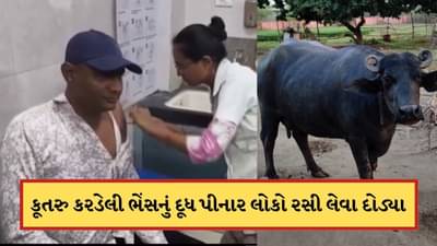 વિચિત્ર ઘટના ! હડકાયું કૂતરુ કરડેલી ભેંસનું દૂધ પીનાર 35 લોકો રસી લેવા દોડ્યા, જુઓ-Video