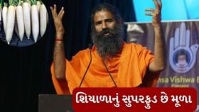 બાબા રામદેવે સમજાવ્યું કે શિયાળામાં મૂળા ખાવાનું કેમ મહત્વપૂર્ણ છે