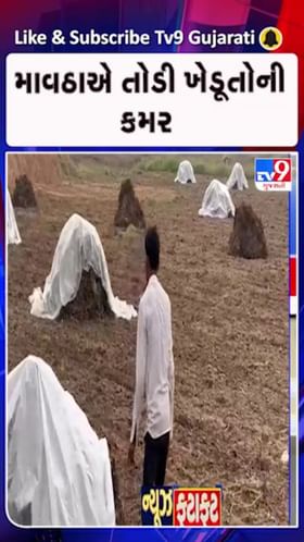 ખેડૂતોને મોઢેથી છિનવાયો કોળીયો