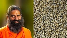 શિયાળાના સુપરફુડ બાજરાના રોટલાના આટલા છે ફાયદા