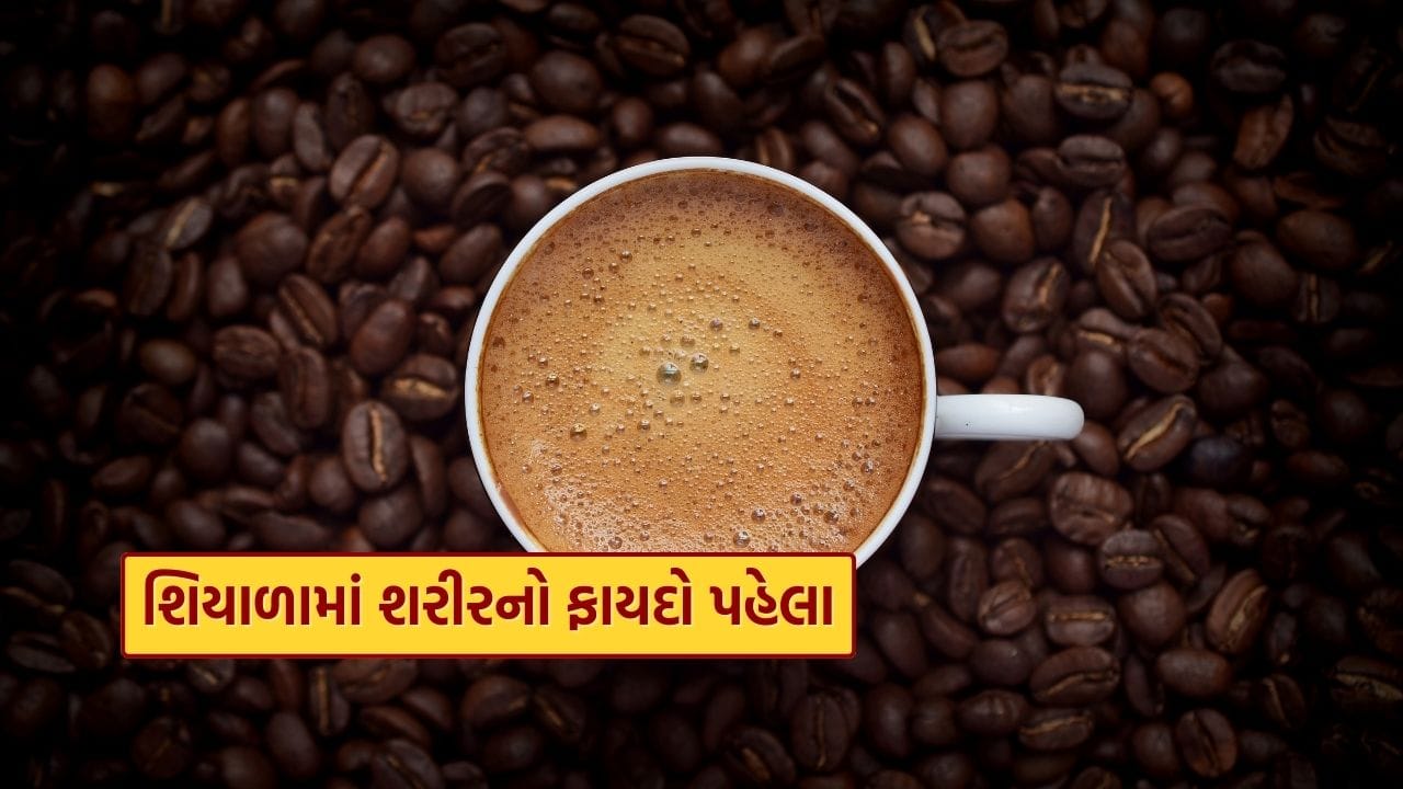 સામાન્ય રીતે ઘણા લોકો પોતાની સવારની શરૂઆત કોફીથી કરે છે કારણ કે તે દિવસને તાજગી અને ઉર્જા આપે છે. પરંતુ શિયાળાની ઋતુમાં યોગ્ય કોફી પસંદ કરવી ખૂબ જ જરૂરી બને છે.