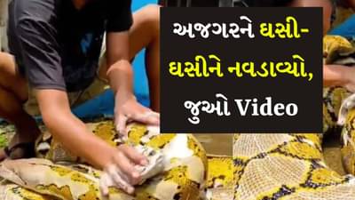 લે બોલો! અજગરને ઘસી-ઘસીને નવડાવામાં આવ્યો, પીઠ પર સર્ફ પાઉડર નાખીને સાફ કર્યો, જુઓ અતરંગી Video