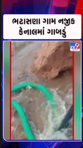 કેનાલ તૂટતા ખેડૂતોએ સરકાર પાસે ન્યાય અને વળતર માંગ