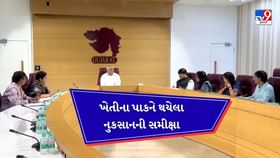 Breaking News: ખેતીના પાકોને નુકસાન અંગે CMએ દાખવી સંવેદશીલતા