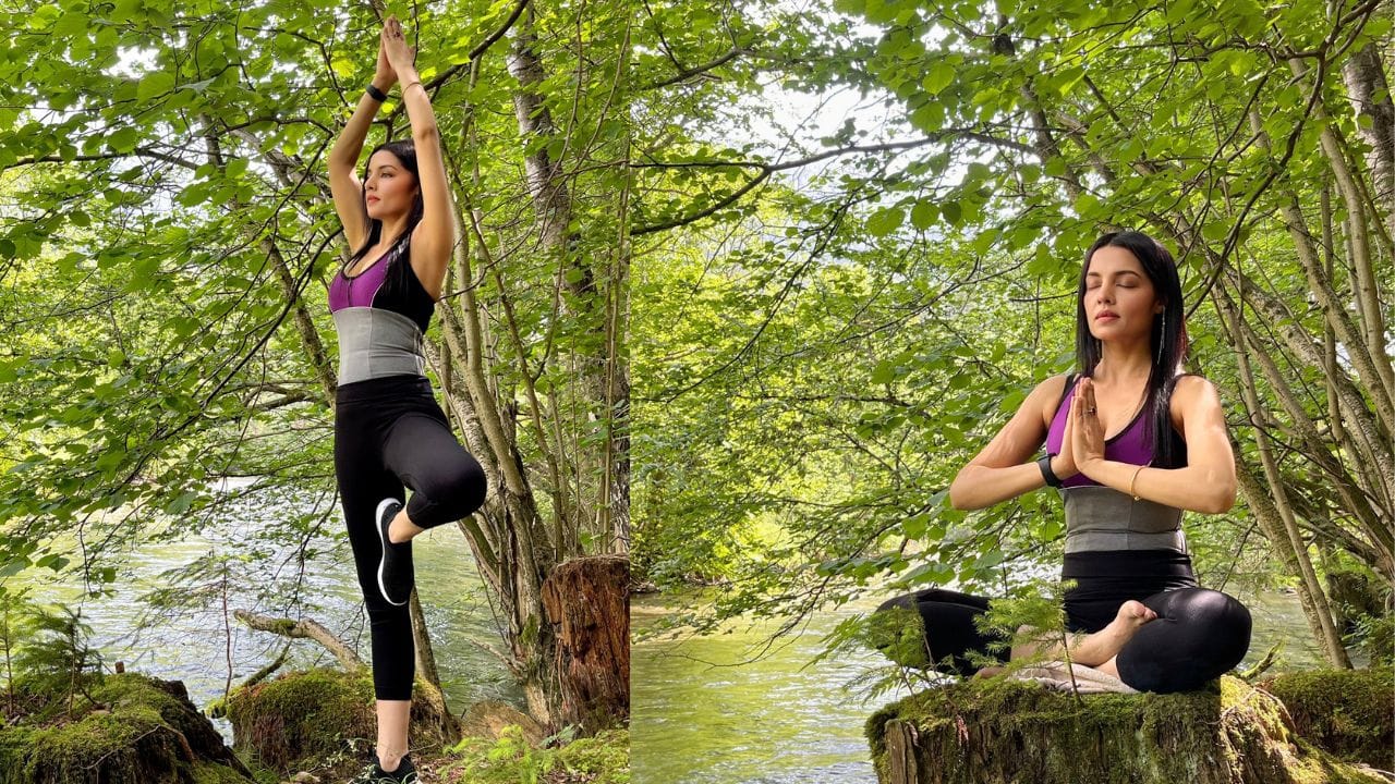 Celina Jaitley family tree (9)