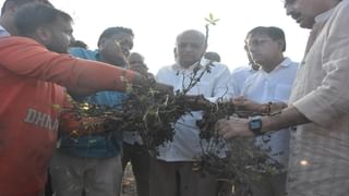 CM ભૂપેન્દ્ર પટેલે માવઠાગ્રસ્ત વિસ્તારની મુલાકાત લઈ કહ્યું- રાહત પેકેજ જાહેર કરીને ખેડૂતને નુકસાનીમાંથી ઝડપભેર બેઠા કરાશે