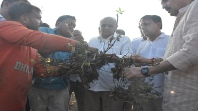 CM ભૂપેન્દ્ર પટેલે માવઠાગ્રસ્ત વિસ્તારની મુલાકાત લઈ કહ્યું- રાહત પેકેજ જાહેર કરીને ખેડૂતને નુકસાનીમાંથી ઝડપભેર બેઠા કરાશે