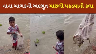 ટેણિયો માછલી પકડવામાં છે માસ્ટર, જાળ નાખવાની ટેલેન્ટ છે જોરદાર, જુઓ Video