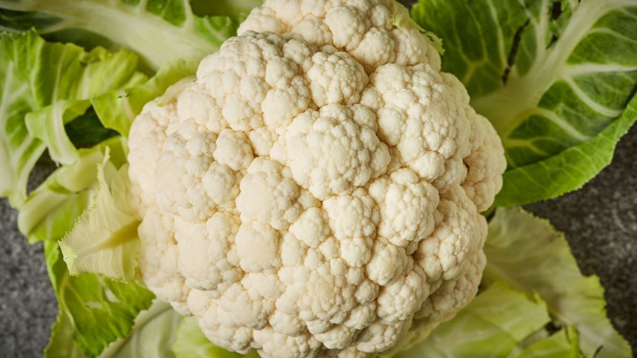 सिरका या नींबू का रस इस्तेमाल करें: सिरका और नींबू भी फूलगोभी से कीड़े निकालने में मदद कर सकते हैं। एक कटोरे में पानी लें और उसमें 2 बड़े चम्मच सिरका या नींबू का रस मिलाएँ। फूलगोभी को इस पानी में 10 मिनट के लिए भिगो दें। सिरके और नींबू के अम्लीय गुण कीड़ों को मारते हैं और सब्जी से गंदगी भी हटाते हैं।
