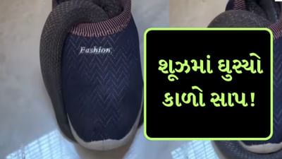 કાળજીપૂર્વક શુઝ પહેરો! શૂઝમાં કોબ્રા સાપ અંદર ઘૂસી ગયો અને આરામથી બેઠો, જુઓ Video