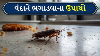 Cockroach Control: વારંવાર ભગાડવા છતાં પણ વંદા કેમ રહે છે? આ ટિપ્સ ફોલો કરી જુઓ, થોડી જ વારમાં સમસ્યાનો આવશે ઉકેલ