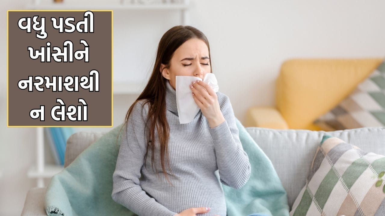 Health Tips: પ્રેગનેન્સી દરમિયાન વધુ પડતી ખાંસી બની શકે છે જોખમી, નવજાત શિશુને થઈ શકે છે ઓક્સિજનની કમી- જાણો નિષ્ણાંત પાસેથી