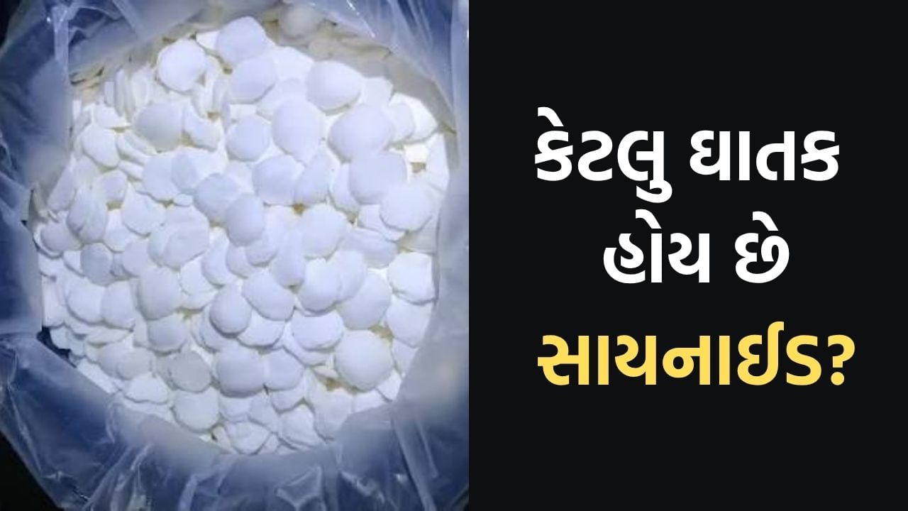 14 વર્ષ પહેલા રાજકોટમાં સાયનાઇડથી ત્રણના મોત થયાં હતા,વાંચો કેટલું ઘાતક છે સાયનાઇડ અને ક્યાં થાય છે તેનો ઉપયોગ ?
