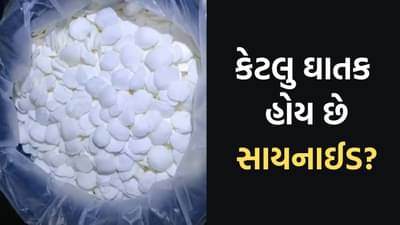 14 વર્ષ પહેલા રાજકોટમાં સાયનાઇડથી ત્રણના મોત થયાં હતા,વાંચો કેટલું ઘાતક છે સાયનાઇડ અને ક્યાં થાય છે તેનો ઉપયોગ ?