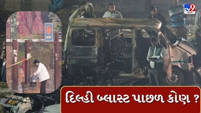 દિલ્હી બ્લાસ્ટએ પાકિસ્તાનનું ષડયંત્ર?