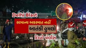 લાલ કિલ્લા પર આતંકવાદી હુમલો, શંકાસ્પદની ધરપકડ