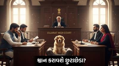 ગુજરાતમાં છુટાછેડાનો અજીબો ગરીબ કિસ્સો, ડોગ લવર પત્નીથી કંટાળી પતિએ હાઈકોર્ટમાં માગ્યો ડિવોર્સ