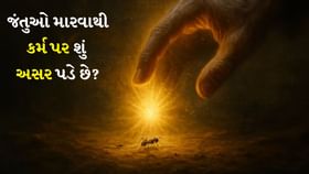 જંતુઓ મારવાથી કર્મ પર શું અસર પડે છે?