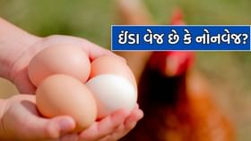 ઈંડા વેજ છે કે નોનવેજ? શાકાહારી લોકોએ એગ્સ ખાવા જોઈએ કે ન ખાવા જોઈએ?
