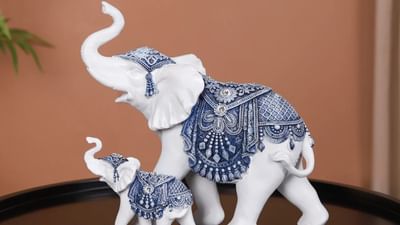 સફેદ હાથીને સૌથી શુભ માનવામાં આવે છે કારણ કે તે શાંતિ, સૌભાગ્ય અને દેવી લક્ષ્મીનું વાહન છે. તેને તમારા ઘર અથવા ઓફિસની ઉત્તર દિશામાં રાખવાથી સંપત્તિની વૃદ્ધિ અને શાંતિ વધે છે.