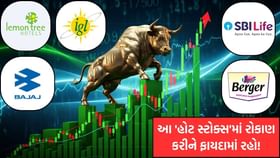 આ 'ગોલ્ડન શેર' હજુ સુધી તમારા પોર્ટફોલિયોમાં ના હોય તો આજે જ ખરીદી લો!