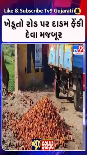 માવઠાથી દાડમના બાગાયત પાકને વ્યાપક અસર
