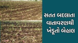 ધોરાજીના ખેડૂતો પર બેવડો માર, માવઠાથી માર સહન કરી રહેલા ખેડૂતોવે હવે બદલાતા વાતાવરણે રડાવ્યા- Video