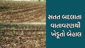 માવઠા સામે હારી ગયેલા ખેડૂતોને હવે સતત બદલાતા વાતાવરણે રડાવ્યાં