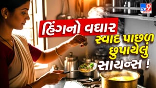 દાળમાં હિંગનો વઘાર કેમ ફરજિયાત? સ્વાદ પાછળ છુપાયેલું વૈજ્ઞાનિક રહસ્ય જાણીને તમે ચોંકી જશો!