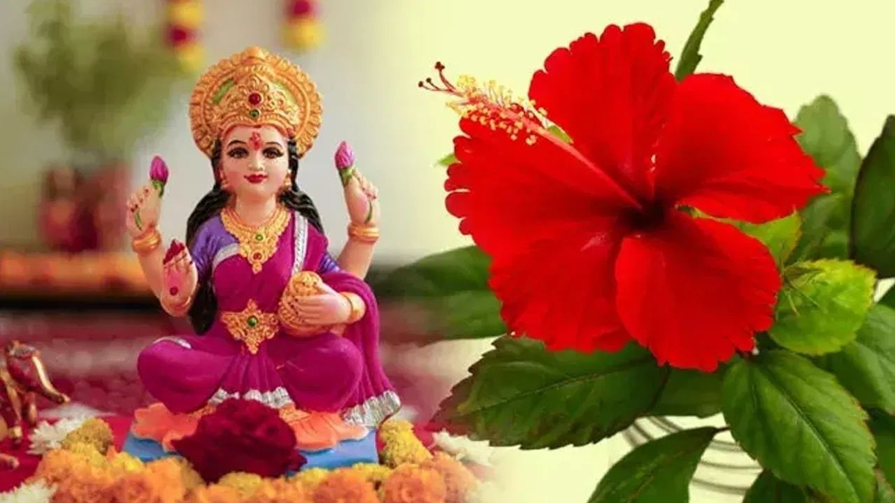 Flowers Not for Puja For God (3)