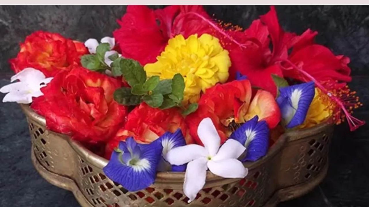 Flowers Not for Puja For God (7)