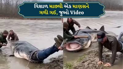 Fish Viral Video: એક વિશાળ માછલી એક માણસને અડધો ગળી ગઈ, પછી જે થયું તે જોયા જેવું છે