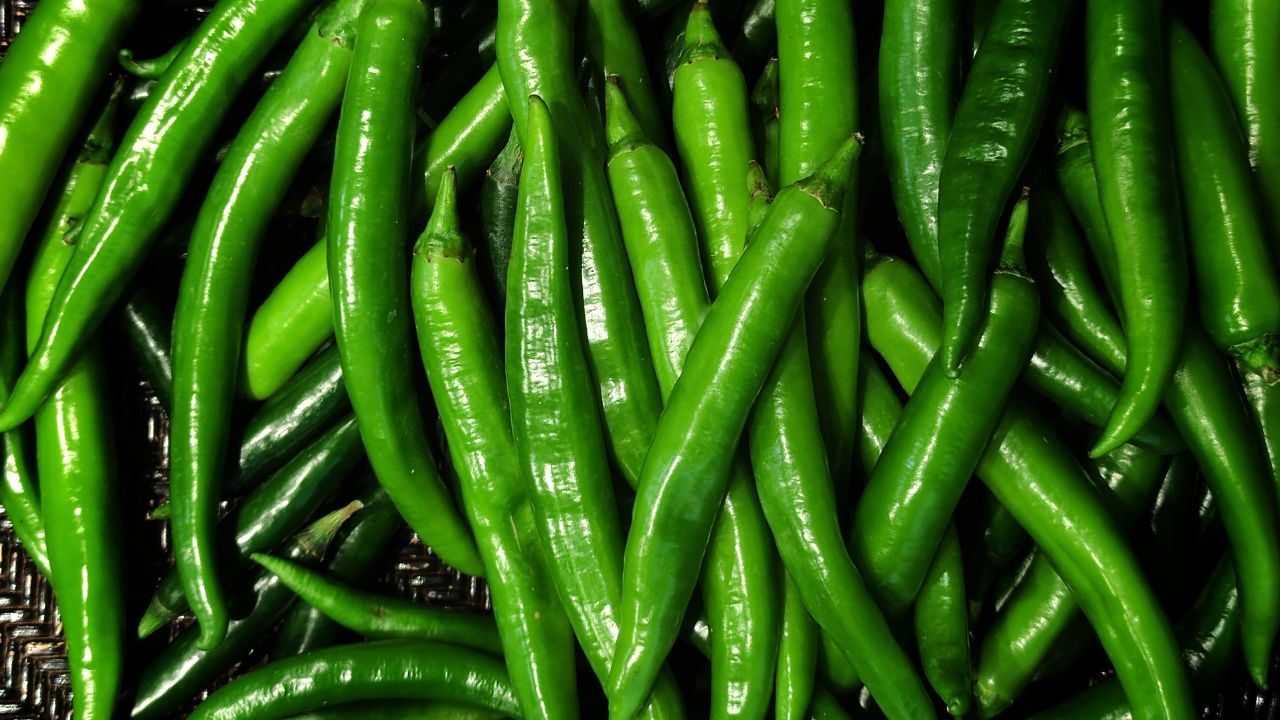 નિષ્ણાતો કહે છે કે પેટમાં અલ્સર અને એસિડિટી ધરાવતા લોકો, તેમજ શરીરમાં પિત્તનું પ્રમાણ વધુ હોય તેવા લોકોએ લીલા મરચાં ખાવાનું ટાળવું જોઈએ.