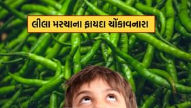 લીલા મરચા ખાવાથી થતાં ફાયદા દરેકે જાણવા જરૂરી..