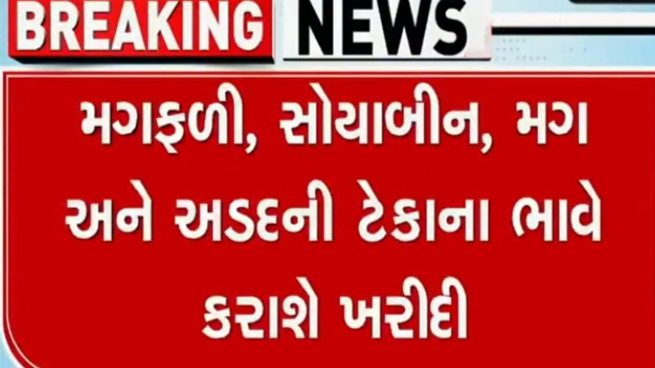 ગુજરાત સરકાર 9 નવેમ્બરથી ટેકાના ભાવે મગફળી, સોયાબીન, મગ, અડદ ખરીદશે