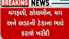 ગુજરાત સરકાર ટેકાના ભાવે મગફળી, સોયાબીન, મગ, અડદ ખરીદશે