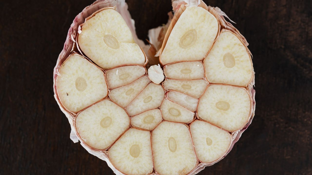 નોંધ : અહીં આપવામાં આવેલી માહિતી ફક્ત આપની જાણકારી માટે છે. કોઈ પણ ઈલાજ કરતાં પહેલા કે,અમલમાં લેતા પહેલા નિષ્ણાતોની સલાહ લેવી જરુરી છે. ( all photo:canva)