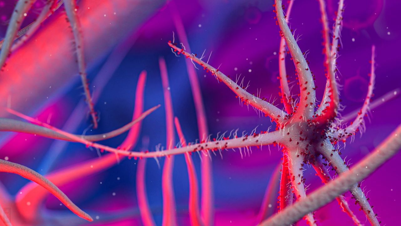 यदि आपसे पूछा जाए कि स्तन से संबंधित आम समस्या क्या है, तो आप संभवतः स्तन कैंसर का नाम लेंगी, लेकिन इसके अलावा और क्या है?