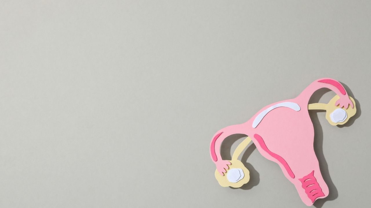 સામાન્ય રીતે ઇંડા ઓવ્યુલેશન પછી 12-24 કલાક સુધી જીવીત રહે છે. જો આ સમયમર્યાદામાં તેનું ફળદ્રુપતા ન થાય, તો તે પીરિયડ્સ દરમિયાન ખરાબ થઈ જશે અને બહાર નીકળી જશે. તેથી, જો તમે પ્રેગ્નન્સીનો પ્રયાસ કરી રહ્યા છો, તો તમારે આ સમય પર ખાસ ધ્યાન આપવું જોઈએ.