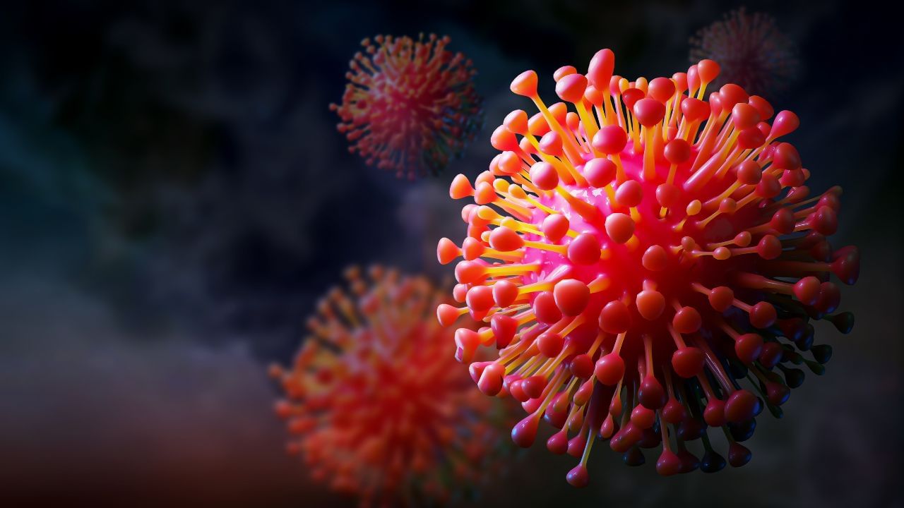 જો મહિલાઓના શરીરમાં પ્રોજેસ્ટેરોનની ઉણપ થઈ ગઈ છે. તો તમારે કંસીવ કરવામાં સમસ્યા થઈ શકે છે. પ્રોજેસ્ટેરોનની ઉણપ મિસકેરેજ અને આનાથી વંધ્યત્વ થઈ શકે છે. આનો અર્થ એ છે કે પ્રોજેસ્ટેરોનનું ઓછું સ્તર પ્રેગ્નન્સી થવી મુશ્કેલ બનાવી શકે છે. જો તમે પ્રેગ્નન્સી રાખવા માંગતા હો, તો તમારા શરીરમાં પ્રોજેસ્ટેરોનનું પૂરતું સ્તર જાળવી રાખો.