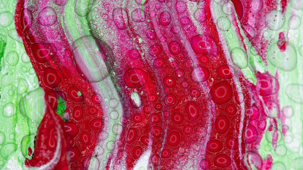 જો શુક્રાણુ ઓવ્યુલેશનના 12-14 કલાકની અંદર ઇંડાને ફળદ્રુપ કરે તો પ્રેગ્નન્સી રહી શકે છે. ત્યારબાદ ફળદ્રુપ ઇંડા ફેલોપિયન ટ્યુબમાંથી નીચે જાય છે અને ગર્ભાશયમાં ઇમ્પ્લાન્ટ થાય છે, જે સામાન્ય રીતે ગર્ભાધાન પછી 6-10 દિવસ પછી થાય છે.