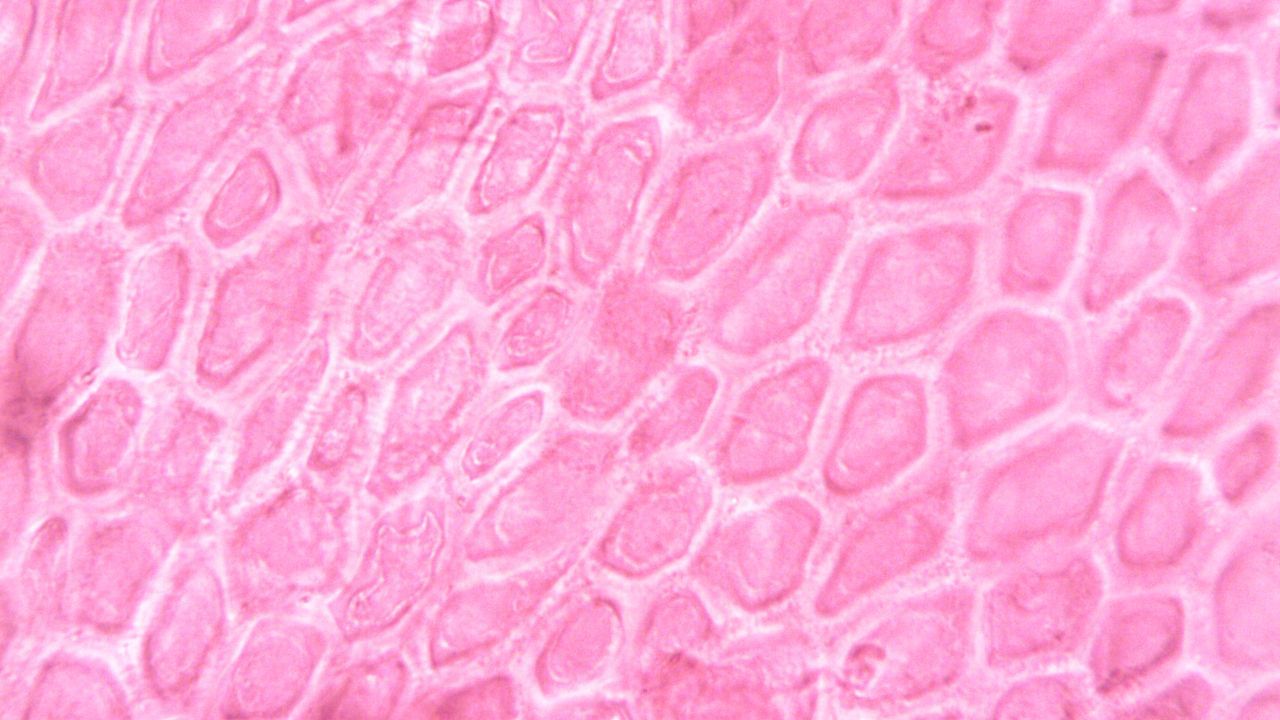 ધ્યાનમાં રાખો કે, દરેક મહિલાનું ચક્ર અલગ હોય છે, અને ઓવ્યુલેશન અને ગર્ભાધાનનો ચોક્કસ સમય અલગ અલગ હોઈ શકે છે. 