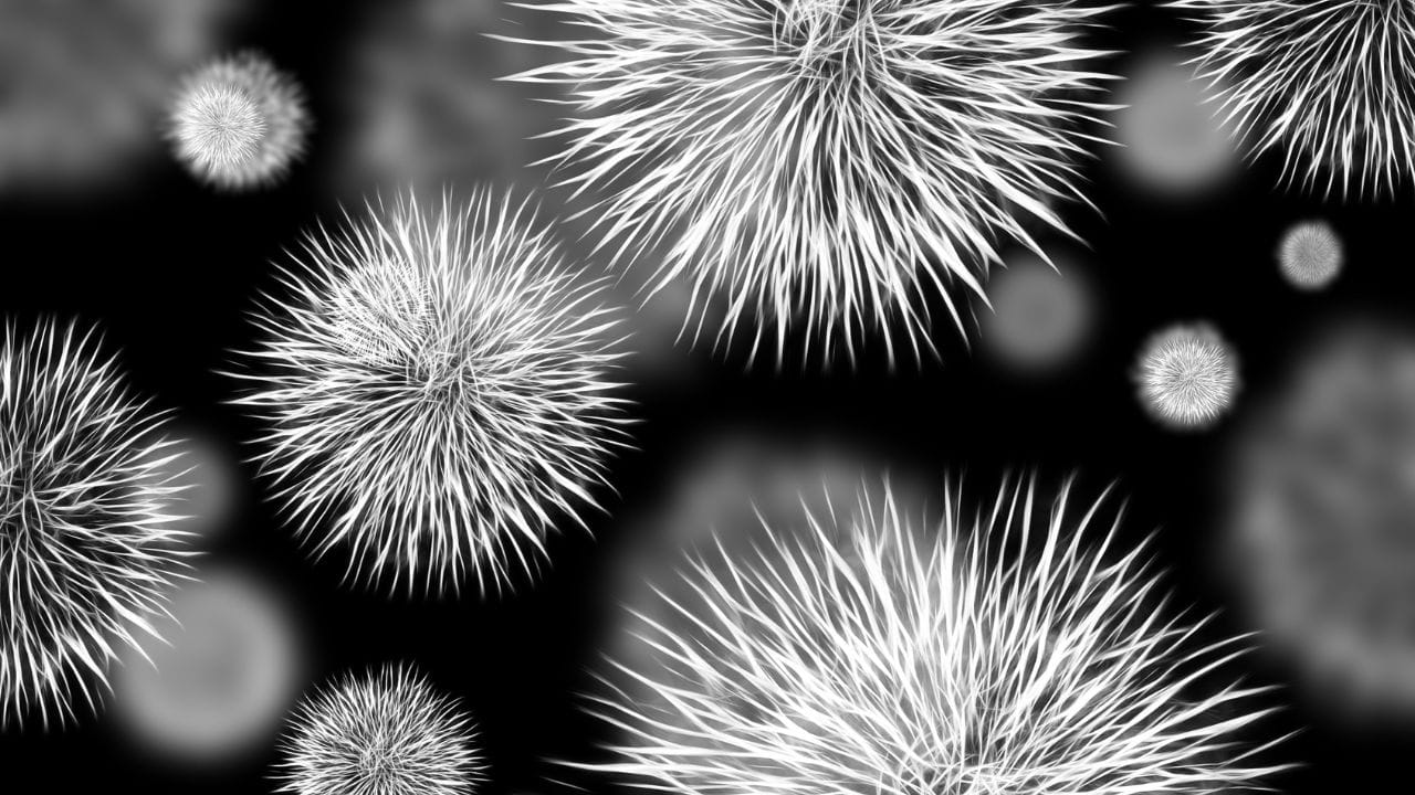 Gynecologist Tips (8)